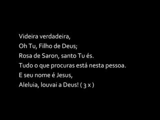 Videira verdadeira,  Oh Tu, Filho de Deus; Rosa de Saron, santo Tu és. Tudo o que procuras está nesta pessoa. E seu nome é Jesus, Aleluia, louvai a Deus! ( 3 x ) 