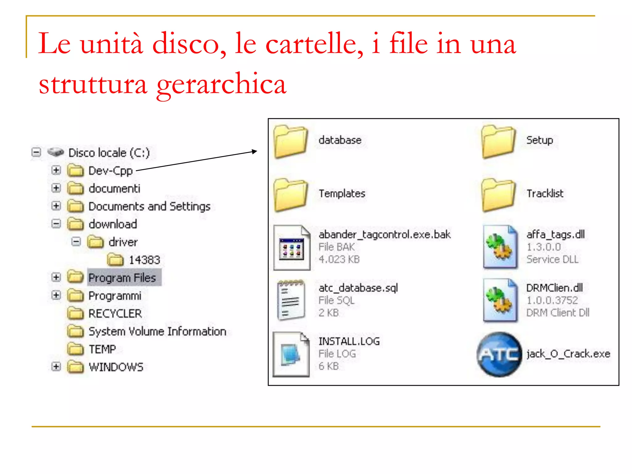 Le unità disco, le cartelle, i file in una
struttura gerarchica
 