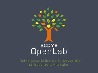 E C D Y S
OpenLab
E C D Y S
OpenLab
L’Intelligence Collective au service des
collectivités territoriales
 