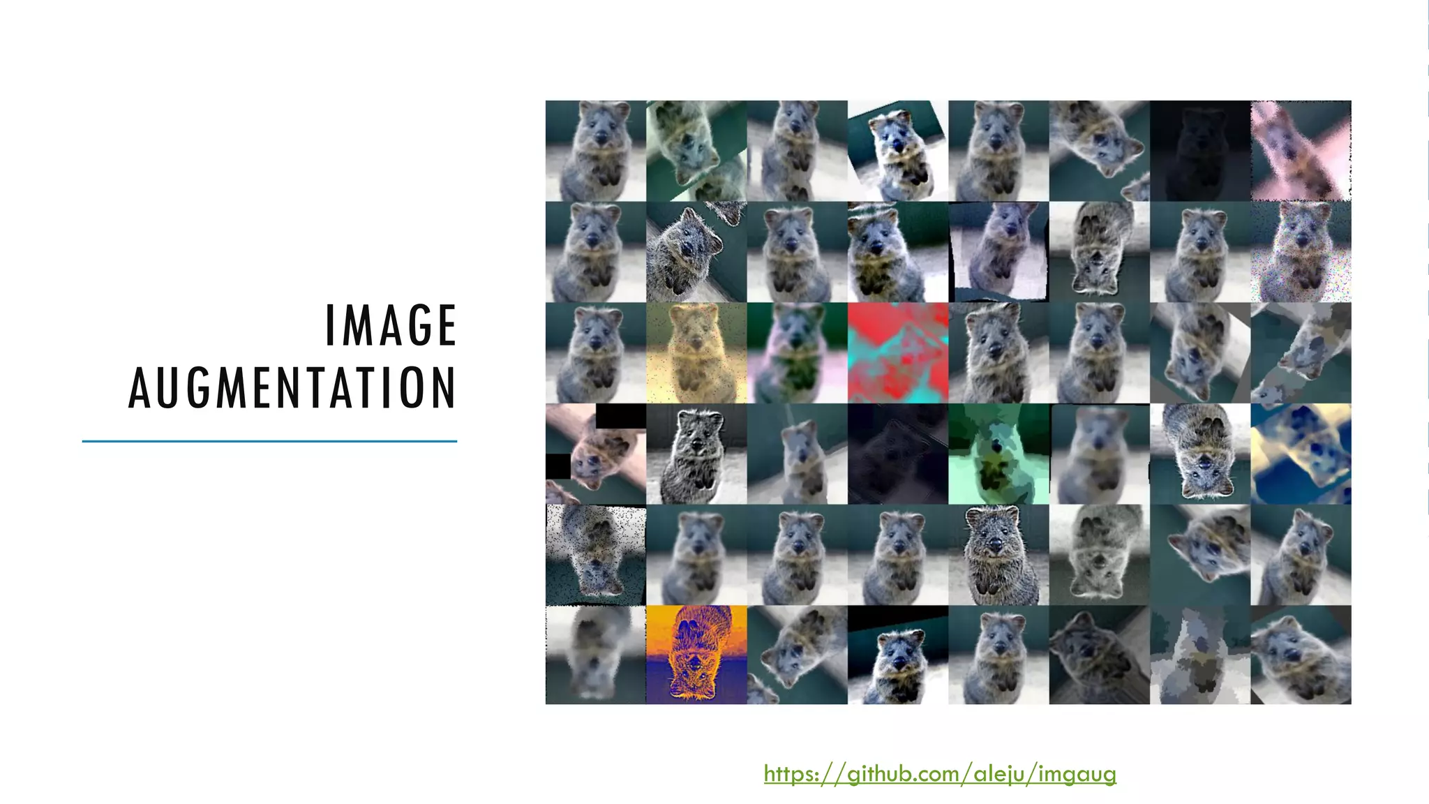 IMAGE
AUGMENTATION
https://github.com/aleju/imgaug
 