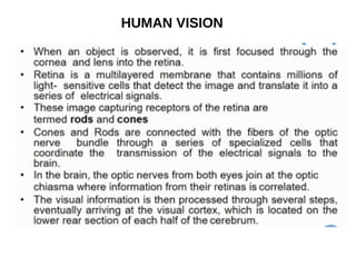 HUMAN VISION
 