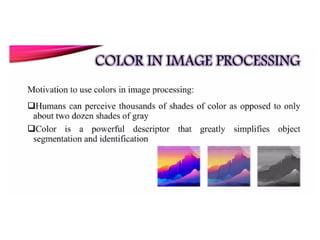 ECE-Digital-Image-Processing and transformations