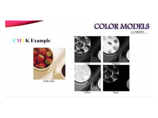 ECE-Digital-Image-Processing and transformations