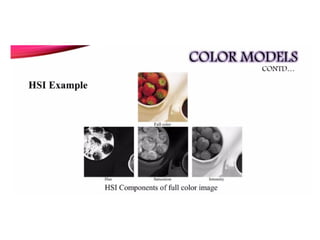 ECE-Digital-Image-Processing and transformations