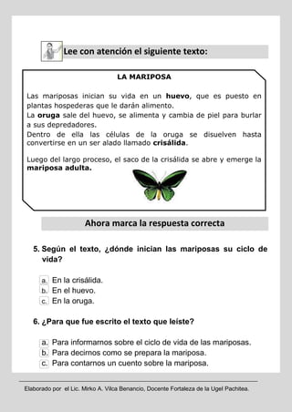 Elaborado por el Lic. Mirko A. Vilca Benancio, Docente Fortaleza de la Ugel Pachitea.
a. Lee con atención el siguiente texto:
Ahora marca la respuesta correcta
5. Según el texto, ¿dónde inician las mariposas su ciclo de
vida?
a. En la crisálida.
b. En el huevo.
c. En la oruga.
6. ¿Para que fue escrito el texto que leíste?
a. Para informarnos sobre el ciclo de vida de las mariposas.
b. Para decirnos como se prepara la mariposa.
c. Para contarnos un cuento sobre la mariposa.
LA MARIPOSA
Las mariposas inician su vida en un huevo, que es puesto en
plantas hospederas que le darán alimento.
La oruga sale del huevo, se alimenta y cambia de piel para burlar
a sus depredadores.
Dentro de ella las células de la oruga se disuelven hasta
convertirse en un ser alado llamado crisálida.
Luego del largo proceso, el saco de la crisálida se abre y emerge la
mariposa adulta.
 