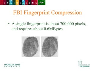 FBI Fingerprint Compression
• A single fingerprint is about 700,000 pixels,
and requires about 0.6MBytes.
 