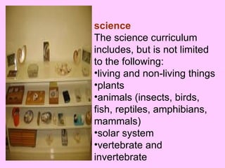 science   The science curriculum includes, but is not limited to the following:  living and non-living things  plants  animals (insects, birds, fish, reptiles, amphibians, mammals)  solar system  vertebrate and invertebrate  