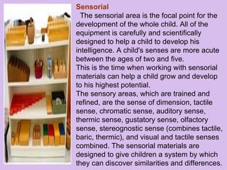 Sensorial The sensorial area is the focal point for the development of the whole child. All of the equipment is carefully and scientifically designed to help a child to develop his intelligence. A child's senses are more acute between the ages of two and five.  This is the time when working with sensorial materials can help a child grow and develop to his highest potential.  The sensory areas, which are trained and refined, are the sense of dimension, tactile sense, chromatic sense, auditory sense, thermic sense, gustatory sense, olfactory sense, stereognostic sense (combines tactile, baric, thermic), and visual and tactile senses combined. The sensorial materials are designed to give children a system by which they can discover similarities and differences. 