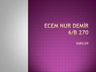 Ecem nur demİr 6/b 270BABİLLER