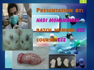 1
Presentation by:
Hadi Mohammadi
batch number:035
course: ECE
 