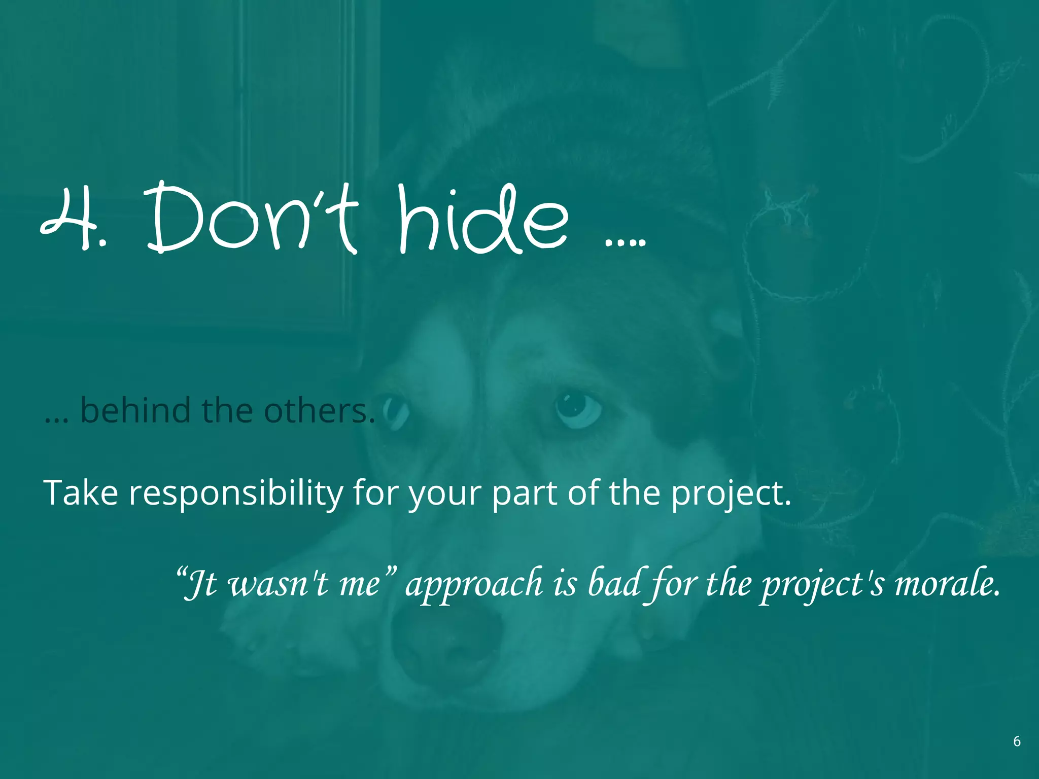 4. Don’t hide ….
… behind the others.
Take responsibility for your part of the project.
“Jt wasn't me” approach is bad for the project's morale.
6
 