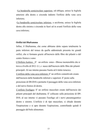 13
-La benderella semicircolare superiore, od obliqua, unisce la fogliola
anteriore alla destra e circonda indietro l'orifizio della vena cava
inferiore;
-La benderella semicircolare inferiore, o arciforme, unisce la fogliola
destra alla sinistra e circonda in fuori ed in avanti l'orifizio della vena
cava inferiore;
Orifizi del Diaframma
Infine, il Diaframma, che come abbiamo detto separa totalmente la
parte inferiore del torace da quella addominale presenta tre grandi
orifizi, che si formano grazie all'incrocio delle fibre dei pilastri o del
centro frenico e sono:
L'Orifizio Aortico: E' un orifizio osteo - fibroso inestensibile che si
trova a livello di D12- L1, e nasce dall'incrocio delle fibre dei pilastri
principali. Al suo interno passano l'aorta ed il dotto toracico.
L'orifizio della vena cava inferiore: E' un orifizio connettivale creato
dall'incrocio delle benderelle inferiori e superiori. E' posto sulla
proiezione di D8-D10 e permette il passaggio della vena cava inferiore
e del nervo frenico di destra.
L’orifizio Esofageo: E' un orifizio muscolare creato dall'incrocio dei
pilastri principali del diaframma. E' collocato sulla proiezione di D9-
D10, al suo interno vi passano l'esofago ed i nervi pneumogastrico
destro e sinistro. L'orifizio è di tipo muscolare, si chiude durante
l'inspirazione e si apre durante l'espirazione, controllando quindi il
passaggio del bolo alimentare.
 