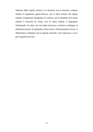 15
inferiore della cupola sinistra è in relazione con lo stomaco, sospeso
tramite il legamento gastro-frenico, con il lobo sinistro del fegato
tramite il legamento triangolare di sinistra, con il duodeno ed il tenue
tramite il muscolo di Treitz, con la milza tramite il legamento
frenolineale. Il colon, nel suo tratto trasverso a sinistra è collegato al
diaframma grazie al legamento freno-colico. Posteriormente invece, il
diaframma è collegato con le capsule surrenali, con il pancreas e con i
poli superiori dei reni.
 