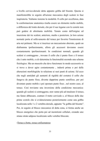 33
a livello cervico-dorsale detta appunto gobba del bisonte. Questa si
manifesterebbe in seguito all'azione meccanica degli scaleni in fase
inspiratoria. Vediamo insieme la modalità. Il collo per eccellenza, data
la conformazione anatomica risulta essere un elemento molto mobile,
a differenza del tratto dorsale, che per il suo legame con le costole non
può godere di altrettanta mobilità. Tenuto conto dell'origine ed
inserzione dei tre scaleni, anteriore, medio e posteriore ,la loro azione
normale porta al sollevamento del torace per favorire l'immissione di
aria nei polmoni. Ma se si inserisce un meccanismo aberrato, quale un
diaframma ipofunzionante, allora gli accessori dovranno essere
costantemente iperfunzionanti. In condizioni normali, quando gli
scaleni si contraggono , trovano il collo che è punto fisso e il torace
che è unto mobile, e ciò determina la funzionalità secondo una schema
fisiologico. Ma un muscolo che deve funzionare in modo accessorio se
si trova a dover agire costantemente , indurrà prima o poi delle
alterazioni morfologiche in relazione ai suoi punti di azione. Ed ecco
che negli anni(dati gli aumenti di rigidità del costato) il collo che
fungeva da punto fisso, diventa dapprima punto semifisso, per poi
diventare punto mobile e poi spostare punto fisso , nel nostro caso, al
torace. Così troviamo una inversione della condizione meccanica:
quando gli scaleni si contraggono, non vanno più ad innalzare il torace,
ma fanno abbassare, coattare il tratto cervicale e, al blocco delle due
prime costole che si evidenzieranno posteriormente come una gobba
localizzata nelle 1 e 2 vertebra dorsale, appunto “la gobba del bisonte”.
Poi, in seguito al blocco meccanico di detta zona, si forma anche un
blocco energetico che porta poi ad inestetismi cellulari, creando uno
strano strato adiposo localizzato sulle vertebre bloccate.
-Torace a botte, torace enfisematoso
 