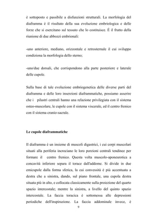 9
è sottoposto e passibile a disfunzioni strutturali. La morfologia del
diaframma è il risultato della sua evoluzione embriologica e delle
forze che si esercitano sul tessuto che lo costituisce. É il frutto della
riunione di due abbozzi embrionali:
-uno anteriore, mediano, orizzontale e retrosternale il cui sviluppo
condiziona la morfologia dello sterno;
-uno/due dorsali, che corrispondono alla parte posteriore e laterale
delle cupole.
Sulla base di tale evoluzione embriogenetica delle diverse parti del
diaframma e delle loro inserzioni diaframmatiche, possiamo asserire
che i pilastri centrali hanno una relazione privilegiata con il sistema
osteo-muscolare, le cupole con il sistema viscerale, ed il centro frenico
con il sistema cranio-sacrale.
Le cupole diaframmatiche
Il diaframma è un insieme di muscoli digastrici, i cui corpi muscolari
situati alla periferia incrociano le loro porzioni centrali tendinee per
formare il centro frenico. Questa volta muscolo-aponeurotica a
concavità inferiore separa il torace dall'addome. Si divide in due
emicupole dalla forma sferica, la cui convessità è più accentuata a
destra che a sinistra, dando, sul piano frontale, una cupola destra
situata più in alto, e collocata classicamente sulla proiezione del quarto
spazio intercostale; mentre la sinistra, a livello del quinto spazio
intercostale. La faccia toracica è sottomessa alle depressioni
periodiche dell'inspirazione. La faccia addominale invece, è
 