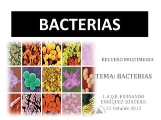 BACTERIAS
       RECURSO MULTIMEDIA


      TEMA: BACTERIAS

        L.A.Q.B. FERNANDO
       ENRÍQUEZ CORDERO.
          31 Octubre 2012
 