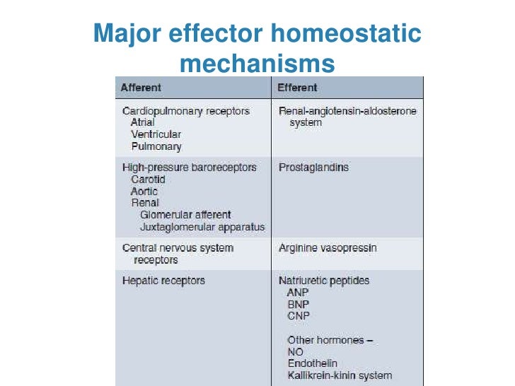 Extracellular fluid homeostasis
