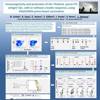 N. Svitek1, R. Saya1, E. Awino1, S. Gilbert2, J. Poole1, V. Nene1, L. Steinaa1
1 Vaccine Biosciences, International Livestock Research Institute, Kenya; 2 The Jenner Institute, UK
Immunogenicity and protection of the Theileria parva CTL
antigen Tp1, with or without a leader sequence, using
HAd5/MVA prime-boost vaccination
FIG.1 Immunization groups: 5 cattle in each group, primed
with HAd5-Tp1 and boosted with MVA Tp1 with and without
leadersequence:
GROUP 1. Tp1 + tPA* leader sequence (HAd5/MVA)
GROUP 2. Tp1 without leader sequence (HAd5/MVA)
GROUP 3. Tp1 + native leader sequence (HAd5/MVA)
GROUP 4. GFP + tPA* leader sequence (HAd5/MVA)
0 14 28 42 56 63 70 84
HAd5
prime
MVA
boost
91
Challenge with
T. parva
FIG 2. Regimen and sample points:
Day
FIG 3. CTL are Tp1 specific (tetramer staining): Example of ex
vivo tetramer staining of 2 animals, 2 weeks post MVA boost.
Tp1-Tetramer
CD8
T
p
2
p
o
o
l
T
p
1
p
o
o
l
O
v
a
lb
u
m
in
T
p
1
p
ro
te
in
0
5 0
1 0 0
1 5 0
C D 4
T
p
2
p
o
o
l
T
p
1
p
o
o
l
O
v
a
lb
u
m
in
T
p
1
p
ro
te
in
0
5 0
1 0 0
1 5 0
C D 4
T
p
2
p
o
o
l
T
p
1
p
o
o
l
O
v
a
lb
u
m
in
T
p
1
p
ro
te
in
0
2 0 0
4 0 0
6 0 0
C D 4
Group 1 Group 2 Group 3Foldincrease
0 2 4 6 8 10 12 14 16 18 20 22 24
0
50
100
D ays elapsed
Percentsurvival
C ontrol
H Ad5/M V A-Tp1
O ther experim ental vaccine group
H A d5/M V A -G FP
Animal 1 Animal 5
Tp1+
Tp1+
Perf+ Perf+
%Specifickilling
Tp1+
Perf+ Perf+
Tp1+Animal 2 Animal 4
17.3%70.3%4.15% 17.4%
2 4 8 1 6 3 2 6 4
0
1 0
2 0
3 0
4 0
E ffector/Target R atio
A nim al 5 TpM
Irr T p M 1
Irr T p M 2
P B M C
P B M C + T p1
0 .5 1 2 4 8 1 6
0
1 0
2 0
3 0
4 0
E ffector/Ta rg e t R a tio
A nim al 4 TpM
Irr T p M 1
Irr T p M 2
P B M C
P B M C + T p1
1 2 4 8 16 32
0
20
40
60
E ffector/Target R atio
A nim al 2 TpM
Irr T p M 1
Irr T p M 2
P B M C
P B M C + T p1
1 2 4 8 16 32
0
10
20
30
40
E ffector/Target R atio
A nim al 1 TpM
Irr T p M 1
Irr T p M 2
P B M C
P B M C + T p1
Animal 1 Animal 5Animal 2 Animal 4
G
ro
u
p
1
G
ro
u
p
2
G
ro
u
p
3
0
1 0 ,0 0 0
2 0 ,0 0 0
3 0 ,0 0 0
Spotformingunitsper
millionCD8+cells
0 1 4 2 1 2 8 5 6 6 3 8 4
0
1 0 ,0 0 0
2 0 ,0 0 0
C on tro l e pitop e-G rou p 1
T p1 e pito pe-G roup 1
C on tro l e pitop e-G rou p 2
T p1 e pito pe-G roup 2
C on tro l e pitop e-G rou p 3
T p1 e pito pe-G roup 3
FIG 4. CD8 cells respond to the Tp1 epitope (IFN-γ ELISpot ): SFU (per million
CD8 cells) 7 days after MVA boost. First diagram shows the group average, the
second shows the individual cattle.
Summary: 4 groups of 5 BoLA-typed animals were immunized with the T. parva Tp1
antigen with or without leader sequence in the HAd5 viral vector and boosted with the
same antigens in the MVA vector. Most animals generated CTL to the known epitope
measured using tetramer staining, ELISpot and Cr-51-release assay. The CTL expressed
perforin and lysed peptide pulsed PBMC. CD4 cells were shown to proliferate to the
antigen. Challenge of the animals resulted in about 30% protection.
FIG 1. Immunization groups: 5 cattle in each group, primed
with HAd5-Tp1 and boosted with MVA Tp1 with and without
leader sequence:
FIG 5. CD4 cells proliferate to the Tp1 antigen. 2x105 CD4 cells were cultured with
Tp1 full-length antigen, Tp1 pool (overlapping peptides), ovalbumin (control) and
Tp2 pool (control peptides), 3H-thymidine was added, cells were harvested.
FIG 6. Tp1 specific CTL are cytotoxic and they express perforin: Upper panel: PBMC
were restimulated 3 times using infected autologous cells, CD8 cells were purified
and cytotoxicity were measured by pulsing autologous PBMC with the peptide or
infected cell line (Cr-51 release). Lower panel: CD8 cells were costained with Tp1
tetramer and a perforin mAb.
FIG 7. Protection by prime-boost regimen with Tp1 in HAd5/MVA vectors. Groups of
cattle (Fig. 2) were challenged with a lethal dose of T. parva sporozoites. Kaplan-Meier
survival plot is shown.
Licensed for use under the Creative Commons Attribution 4.0 International Licence (May 2016)
 