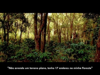 "Não arrendo um terreno plano, tenho 17 andares na minha floresta"
 