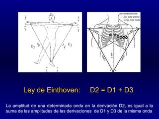 Ley de Einthoven:  D2 = D1 + D3  La amplitud de una determinada onda en la derivación D2, es igual a la suma de las amplitudes de las derivaciones  de D1 y D3 de la misma onda Línea axilar anterior Línea medioclavicular Línea axilar media 