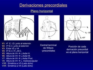 Derivaciones precordiales Plano horizontal V1 :  4º  E. I.D. junto al esternón V2 :  4º E.I.I. junto al esternón V3 :  Entre V2 y V4 V4 :  5º E.I.I.   L.M.C. V5 :  Altura de V4    L.Axilar A.  V6 :  Altura de V4    L.Axilar M.  V7 :  Altura de V4    L.Axilar Post. V8 :  Altura de V4    L. medioescapular V3R :  Símétrica a V3 (Lado dcho) V4R :  Simétrica a V4 (Lado dcho) Central terminal de Wilson -precordiales Posición de cada derivación precordial en el plano horizontal 