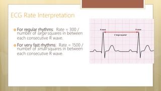 Two Consecutive R Waves ECG - 1 Toward the Basics | PPTX