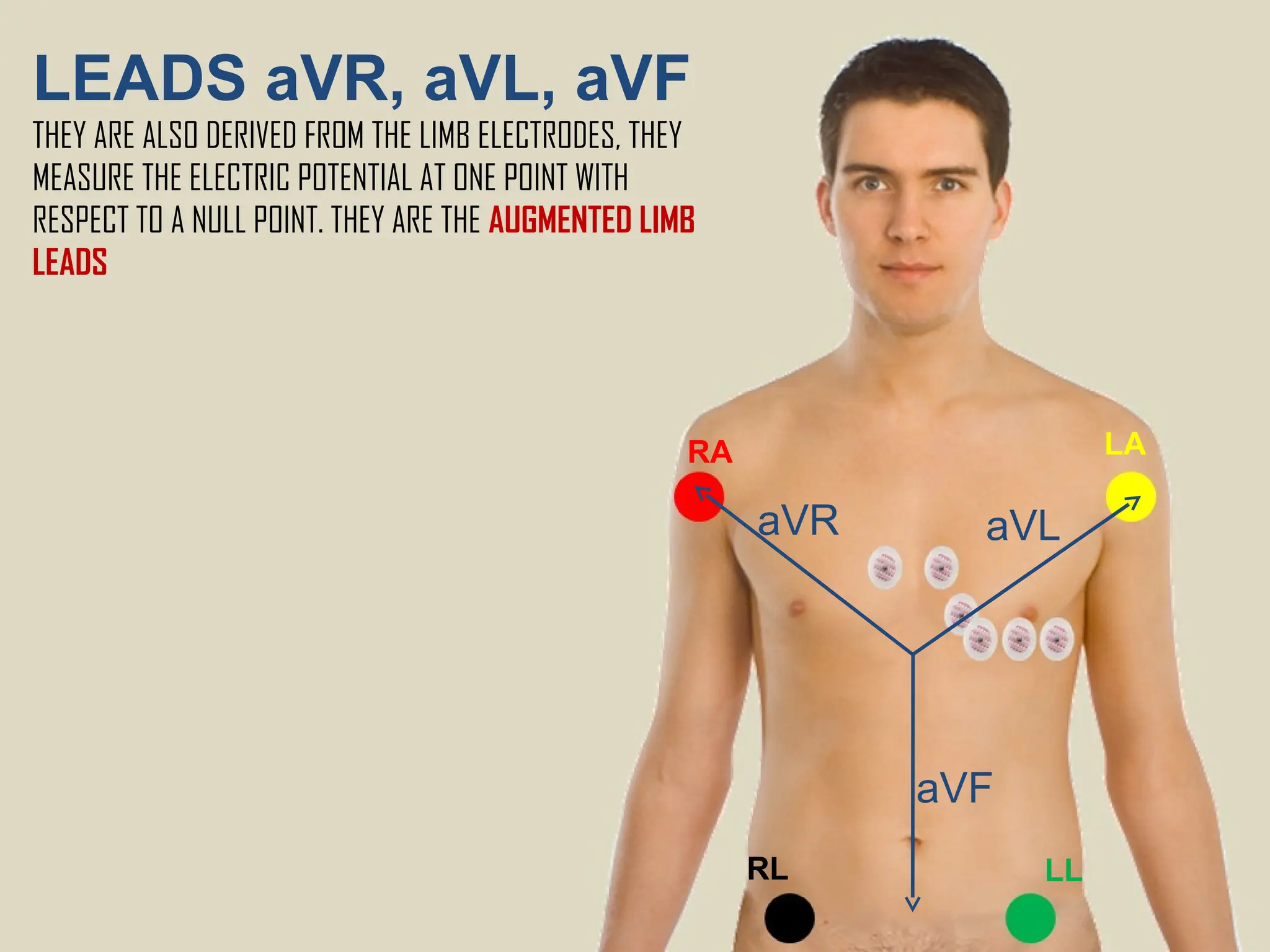 LEADS aVR, aVL, aVF
THEY ARE ALSO DERIVED FROM THE LIMB ELECTRODES, THEY
MEASURE THE ELECTRIC POTENTIAL AT ONE POINT WITH
RESPECT TO A NULL POINT. THEY ARE THE AUGMENTED LIMB
LEADS
RA LA
RL LL
aVR
aVF
aVL
 
