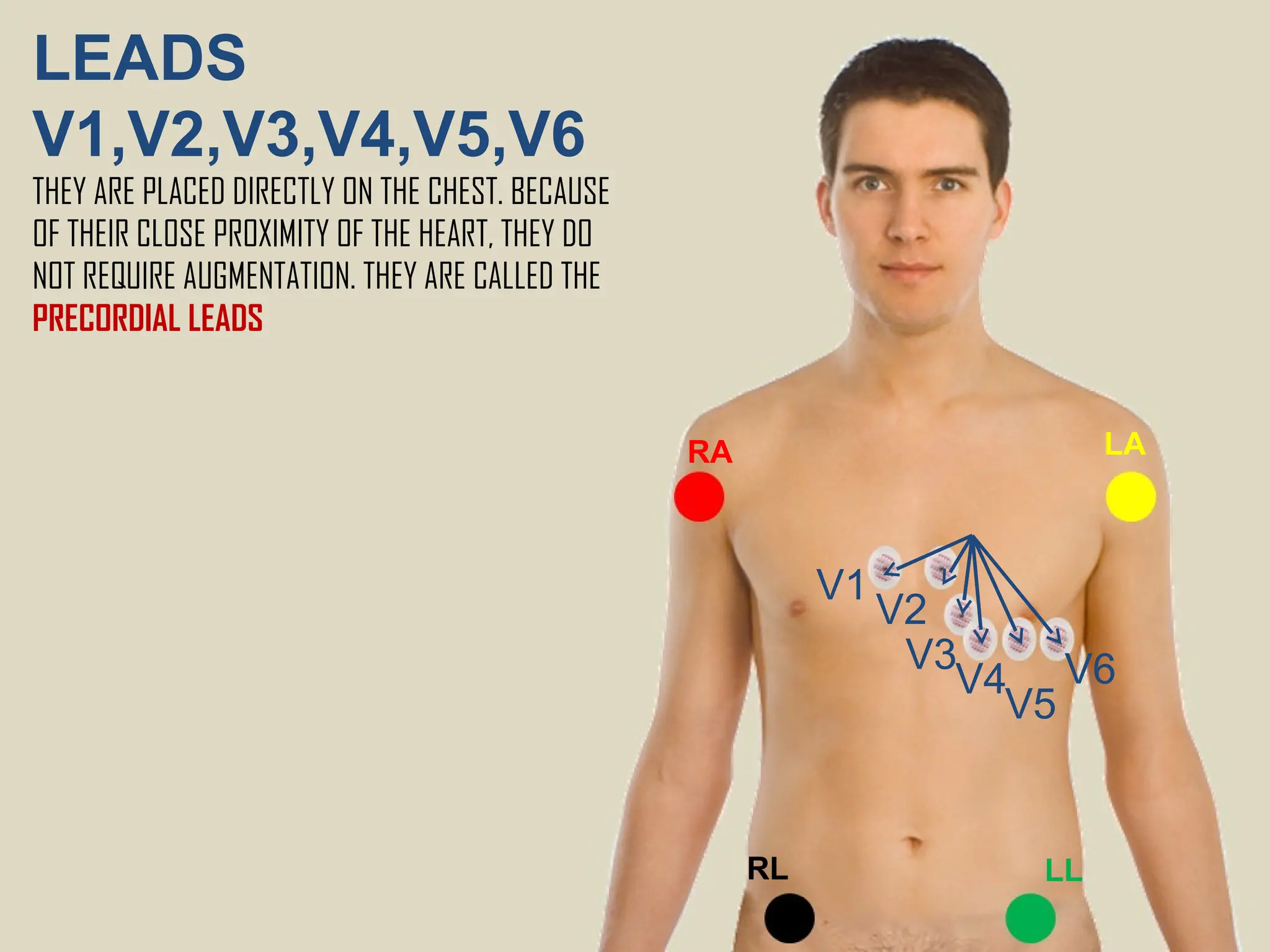 LEADS
V1,V2,V3,V4,V5,V6
THEY ARE PLACED DIRECTLY ON THE CHEST. BECAUSE
OF THEIR CLOSE PROXIMITY OF THE HEART, THEY DO
NOT REQUIRE AUGMENTATION. THEY ARE CALLED THE
PRECORDIAL LEADS
RA LA
RL LL
V1
V2
V3
V4
V5
V6
 