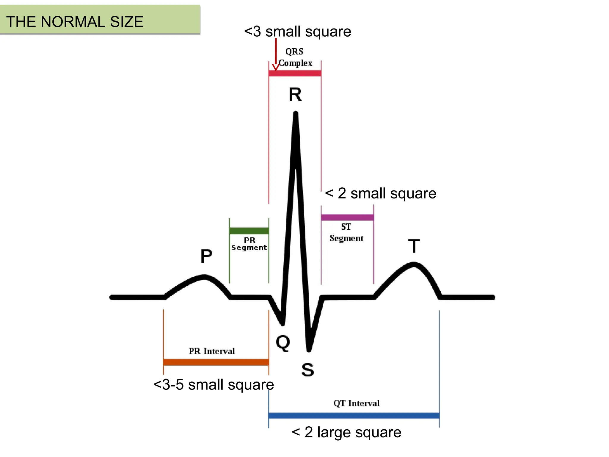 THE NORMAL SIZE
<3 small square
< 2 large square
< 2 small square
<3-5 small square
 