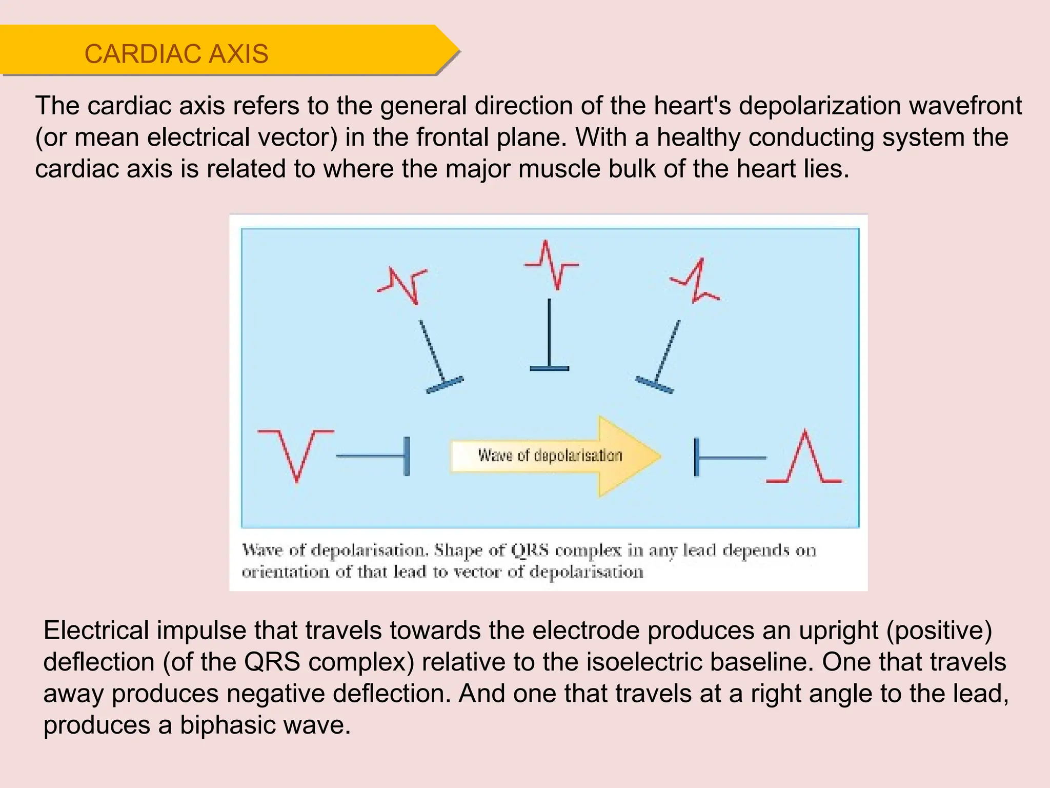 CARDIAC AXIS
Electrical impulse that travels towards the electrode produces an upright (positive)
deflection (of the QRS complex) relative to the isoelectric baseline. One that travels
away produces negative deflection. And one that travels at a right angle to the lead,
produces a biphasic wave.
The cardiac axis refers to the general direction of the heart's depolarization wavefront
(or mean electrical vector) in the frontal plane. With a healthy conducting system the
cardiac axis is related to where the major muscle bulk of the heart lies.
 
