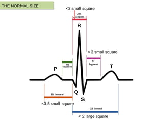 THE NORMAL SIZE <3 small square < 2 large square < 2 small square <3-5 small square  
