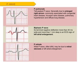 P -WAVE P pulmonale Tall peaked P wave. Generally due to  enlarged right atrium - commonly associated with congenital heart disease, tricuspid valve disease, pulmonary hypertension and diffuse lung disease. Biphasic P wave Its terminal negative deflection more than 40 ms wide and more than 1 mm deep is an ECG sign of  left atrial enlargement . P mitrale Wide P wave, often bifid, may be due to  mitral stenosis  or left atrial enlargement. 