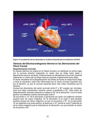 12
Figura 13 Localización de los electrodos en el plano horizontal para la realización del ECG
Génesis del Electrocardiograma Normal en las Derivaciones del
Plano Frontal
Despolarización auricular
El impulso eléctrico se origina en el nódulo sinusal y se distribuye en primer lugar
por la aurícula derecha originando un vector que se dirige hacia abajo y
ligeramente hacia la izquierda. Posteriormente se despolariza la aurícula izquierda
originando un vector que se dirige hacia la izquierda y ligeramente hacia abajo.
El vector resultante de la despolarización de ambas aurículas se dirige hacia abajo
y hacia la izquierda y está más influenciado por el vector auricular izquierdo que
por el derecho, ya que la aurícula izquierda tiene más masa miocárdica que la
derecha.
Aunque las direcciones del vector auricular entre 0° y 90° pueden ser normales,
para una mejor comprensión nosotros vamos a localizarlo a 45°. Este vector de
despolarización auricular presenta su cabeza a 45° de la derivación I y por lo tanto
genera una deflexión positiva denominada onda P.
Se encuentra a 15° de la derivación II generando por tanto una deflexión también
positiva pero de mayor magnitud. En la derivación III la onda P será también
positiva aunque de menor magnitud, ya que se encuentra a 75°. En la derivación
VL se registrará una onda positiva, al igual que a VF, donde la onda P obtenida es
de la misma magnitud que la obtenida por la derivación I ya que también el vector
se encuentra a 45°.
 