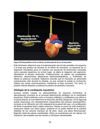 54
Figura 63 Desequilibrio entre la oferta y la demanda de O2 en el miocardio.
Este fenómeno determina que el subendocardio sea el más sensible a la isquemia
y el área que primero se necrose en el infarto de miocardio. La isquemia de un
segmento miocárdico pone en marcha una secuencia de fenómenos conocidos
como cascada isquémica; en primer lugar, se altera la relajación del segmento,
dificultando el llenado ventricular. Posteriormente, se alteran las propiedades
eléctricas, determinando alteraciones electrocardiográficas, y, finalmente, se
afecta su potencia contráctil. Debemos recordar que el miocardio es perfundido
prácticamente sólo durante la diástole, ya que durante la sístole la contracción
oblitera las ramas intramiocárdicas, impidiendo el flujo coronario. Por tanto, la
presión arterial diastólica constituye la presión de perfusión coronaria.
Etiología de la cardiopatía isquémica
Aunque existen causas no ateroscleróticas de isquemia miocárdica, la
aterosclerosis coronaria es el principal determinante etiológico de la cardiopatía
isquémica. Podría definirse como un proceso infiltrativo y proliferativo que afecta a
la pared arterial, el cual determina la reducción del flujo sanguíneo. En la Figura 64
puede observarse una representación esquemática del proceso aterosclerótico:
consiste en la infiltración por LDL-colesterol de la pared del vaso, y la proliferación
de fibras musculares lisas y tejido conjuntivo. Desde un punto de vista anatómico,
evoluciona desde una estría grasa, presente en la pared arterial de la práctica
totalidad de los varones menores de 30 años, hacia una placa fibromuscular,
llegando hasta las placas complicadas. Éstas se caracterizan por ser placas con
ulceración del endotelio que las recubre y trombosis sobreañadida.
 