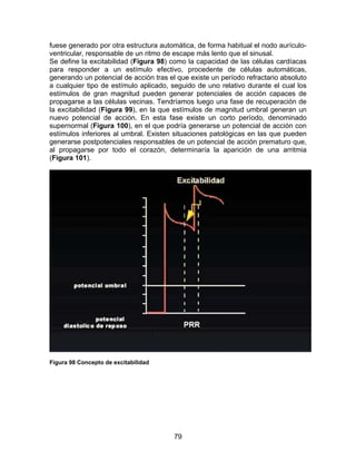 79
fuese generado por otra estructura automática, de forma habitual el nodo aurículo-
ventricular, responsable de un ritmo de escape más lento que el sinusal.
Se define la excitabilidad (Figura 98) como la capacidad de las células cardíacas
para responder a un estímulo efectivo, procedente de células automáticas,
generando un potencial de acción tras el que existe un período refractario absoluto
a cualquier tipo de estímulo aplicado, seguido de uno relativo durante el cual los
estímulos de gran magnitud pueden generar potenciales de acción capaces de
propagarse a las células vecinas. Tendríamos luego una fase de recuperación de
la excitabilidad (Figura 99), en la que estímulos de magnitud umbral generan un
nuevo potencial de acción. En esta fase existe un corto período, denominado
supernormal (Figura 100), en el que podría generarse un potencial de acción con
estímulos inferiores al umbral. Existen situaciones patológicas en las que pueden
generarse postpotenciales responsables de un potencial de acción prematuro que,
al propagarse por todo el corazón, determinaría la aparición de una arritmia
(Figura 101).
Figura 98 Concepto de excitabilidad
 
