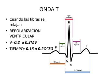 ONDA T
• Cuando las fibras se
relajan
• REPOLARIZACION
VENTRICULAR
• V=0.2 a 0.3MV
• TIEMPO: 0.16 a 0.2O”SG

 