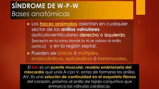SÍNDROME DE W-P-W 
Bases anatómicas 
 Los haces anómalos asientan en cualquier 
sector de los anillos valvulares 
auriculoventriculares derecho e izquierdo 
(excepto en la zona donde la AI se adosa al anillo 
aórtico) y en la región septal. 
 Pueden ser únicos ó múltiples, 
endocárdicos, epicárdicos ó transmurales. 
El haz es un puente muscular, resabio embrionario del 
miocardio que unía A con V, antes de formarse los anillos 
AV. Es una solución de continuidad en el esqueleto fibroso 
del corazón, próximo al anillo de tejido conjuntivo que 
enmarca las válvulas cardíacas. 
 