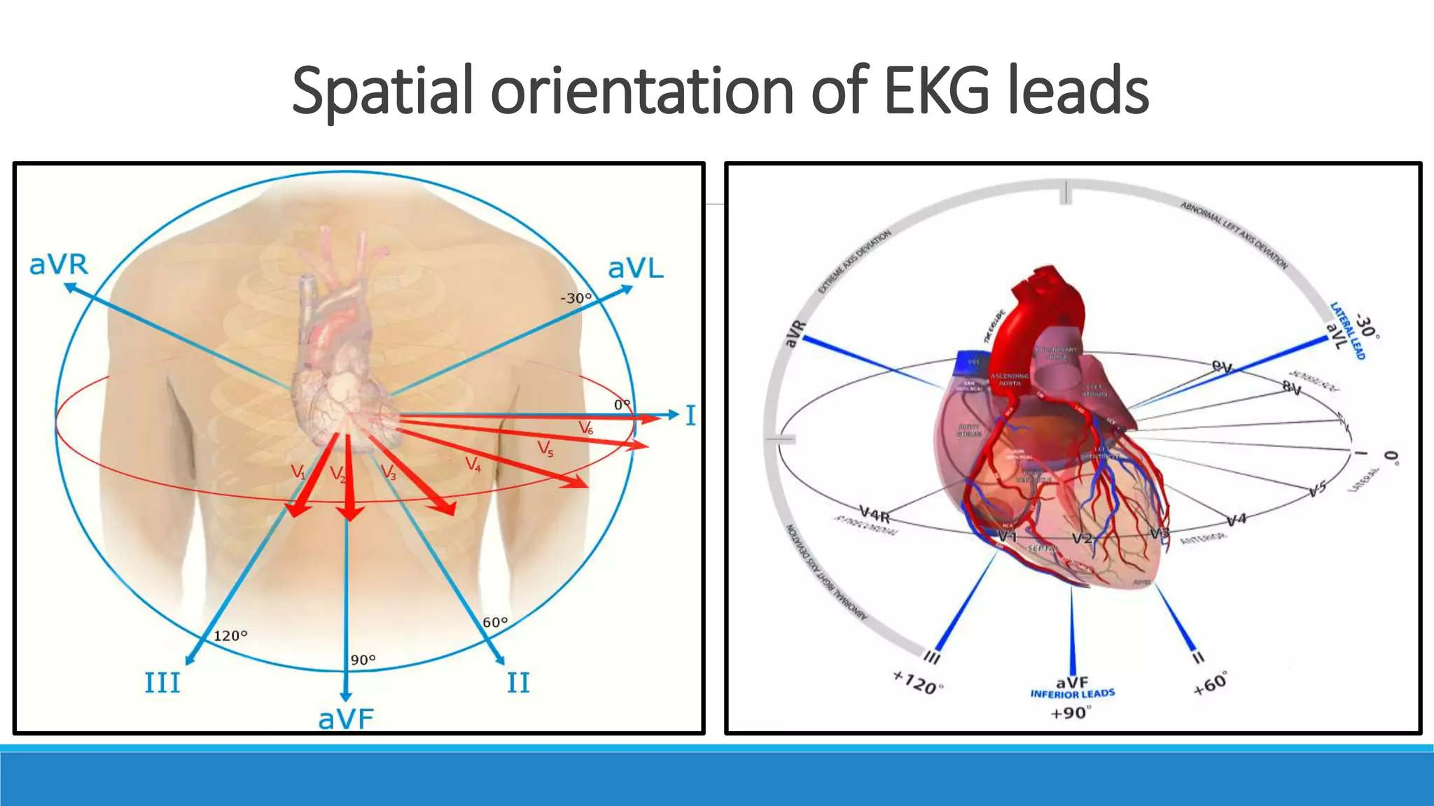 Simple Approach Ecg ECG, step by step approach (Updated) | PPTX