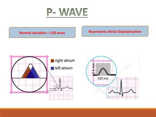 Normal duration = 120 msec Represents Atrial Depolarisation
 