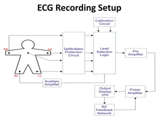 ECG Recording Setup
 
