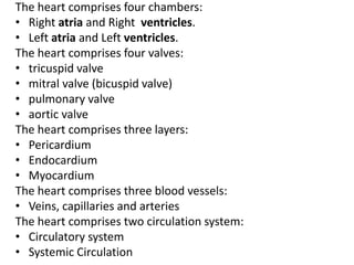 The heart comprises four chambers:
• Right atria and Right ventricles.
• Left atria and Left ventricles.
The heart comprises four valves:
• tricuspid valve
• mitral valve (bicuspid valve)
• pulmonary valve
• aortic valve
The heart comprises three layers:
• Pericardium
• Endocardium
• Myocardium
The heart comprises three blood vessels:
• Veins, capillaries and arteries
The heart comprises two circulation system:
• Circulatory system
• Systemic Circulation
 