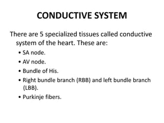 CONDUCTIVE SYSTEM
There are 5 specialized tissues called conductive
system of the heart. These are:
• SA node.
• AV node.
...