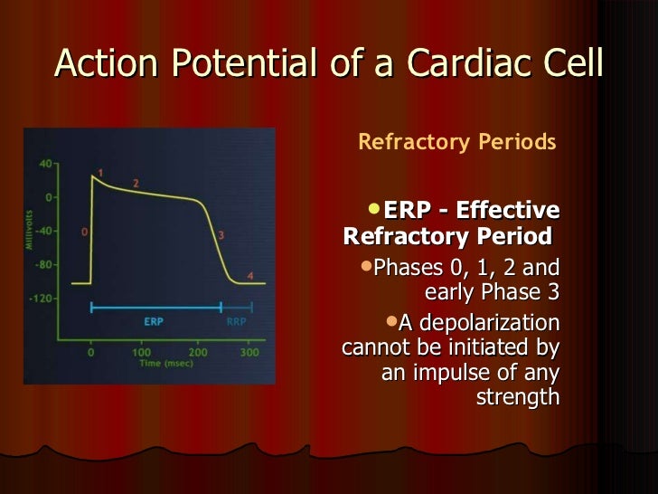 Cabergoline Dosage Refractory Period