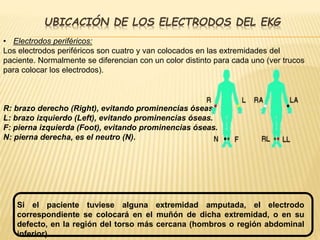 UBICACIÓN DE LOS ELECTRODOS DEL EKG
• Electrodos periféricos:
Los electrodos periféricos son cuatro y van colocados en las extremidades del
paciente. Normalmente se diferencian con un color distinto para cada uno (ver trucos
para colocar los electrodos).
R: brazo derecho (Right), evitando prominencias óseas.
L: brazo izquierdo (Left), evitando prominencias óseas.
F: pierna izquierda (Foot), evitando prominencias óseas.
N: pierna derecha, es el neutro (N).
Si el paciente tuviese alguna extremidad amputada, el electrodo
correspondiente se colocará en el muñón de dicha extremidad, o en su
defecto, en la región del torso más cercana (hombros o región abdominal
inferior).
 
