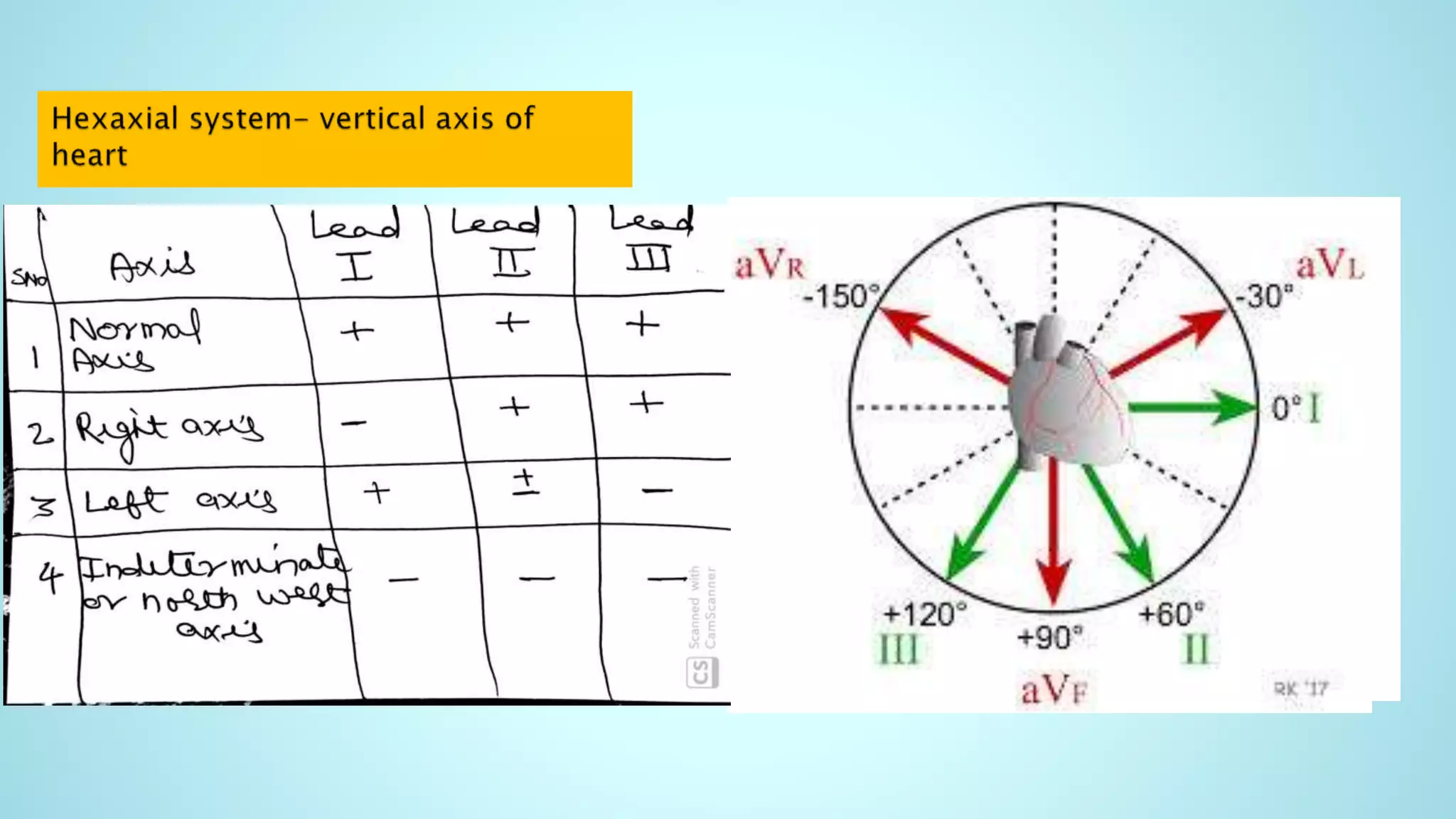 Ecg for beginners | PPTX
