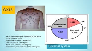 Hexaxial system
 Vertical orientation or alignment of the heart
in the thoracic cavity
 Normal axis(-30 to +90 degree)
 Left axis(-30 to -90 degree)
 Right axis(+90 to +180 degree)
 Indeterminate/north west axis(-90 to -180degree)
 