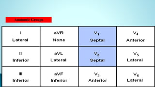 Anatomic Groups
 