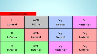 Anatomic Groups
 