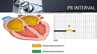 PR INTERVAL
Sunday, July 19, 2020 Lecture 08- CVS_Dr Salman Khan 15
P
 