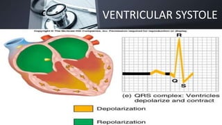 VENTRICULAR SYSTOLE
Sunday, July 19, 2020 Lecture 08- CVS_Dr Salman Khan 16
 